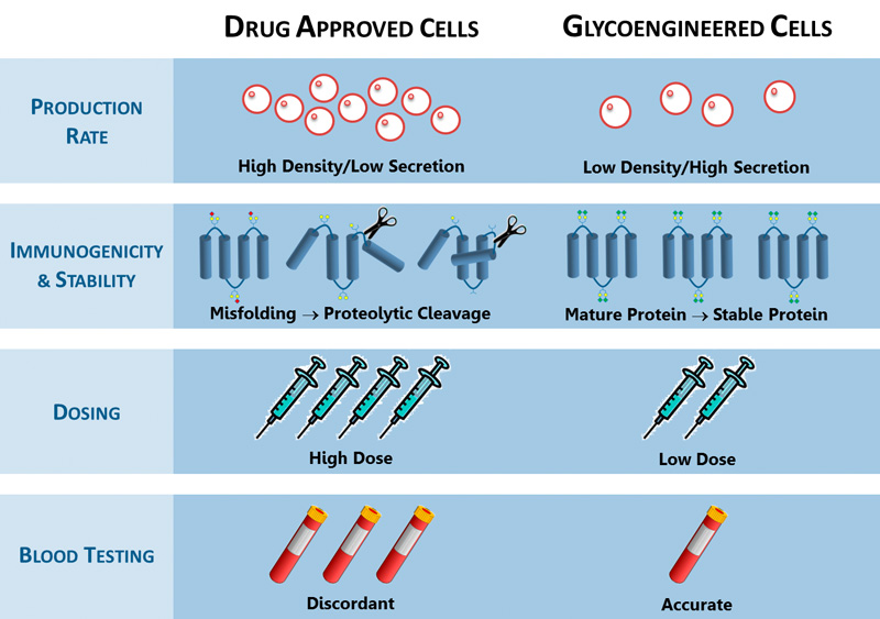 Figure_Glycoengineering